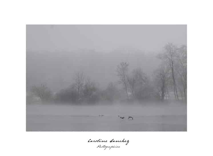 Paysage hivernal - Sundgau